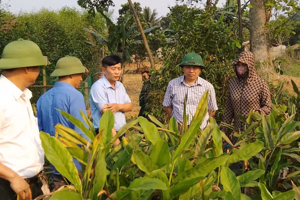Lãnh đạo xã Xuân Du (tỉnh Thanh Hoá) thăm mô hình kinh tế của bà con.