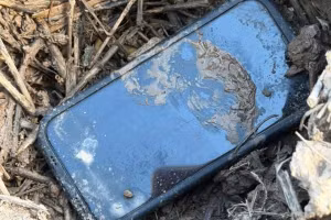 Chiếc điện thoại iPhone được Đ. giấu vào bụi chuối.