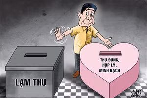 Ảnh Minh họa (nguồn Internet).