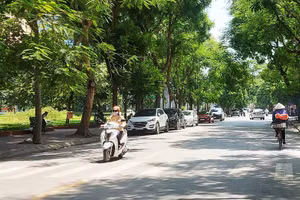 Ảnh minh họa.