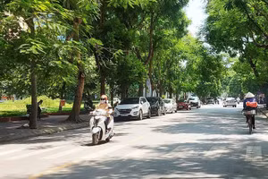 Ảnh minh hoạ.