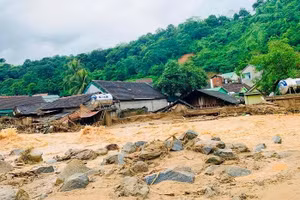 Ảnh đại diện.