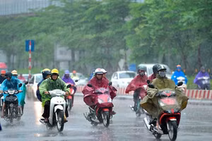 Ảnh minh họa.