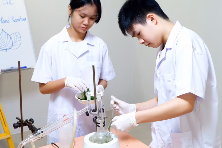 Lê Bảo Khuê và Nguyễn Trí Dũng đang thực nghiệm đong định lượng và đưa nguyên liệu lá trầu không vào bình chưng cất.