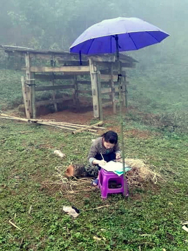 Học sinh dựng lán giữa rừng bắt sóng rơi học trực tuyến - Ảnh 3.