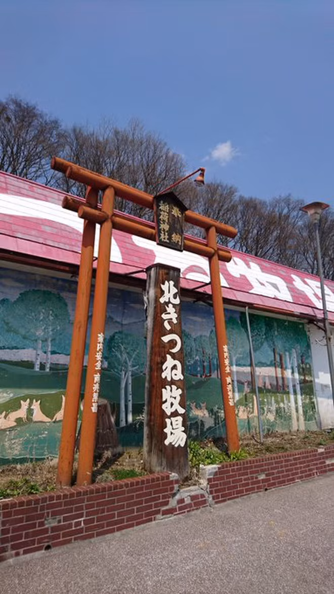 Cáo Luna đã chuyển đến mái nhà mới ở vườn thú sau thời gian rong ruổi trên đường phố (Ảnh: Twitter @Marcy_com).