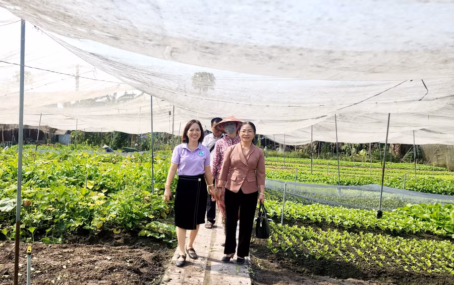 Phó chủ tịch Hội LHPN tỉnh Bình Phước Nguyễn Thanh Trúc (bên trái) tham quan thực tế mô hình sản xuất của hộ dân.