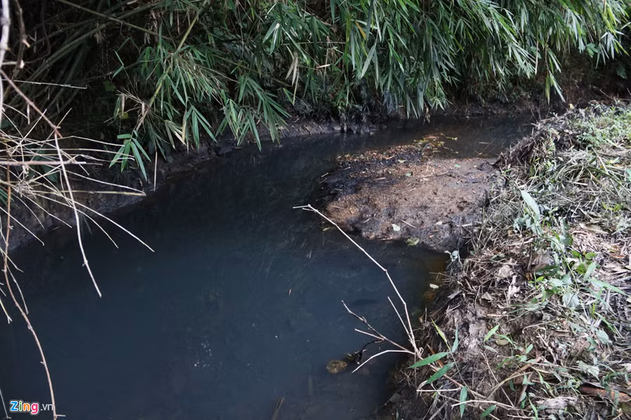 Đoạn suối đen kịt do nhiễm dầu