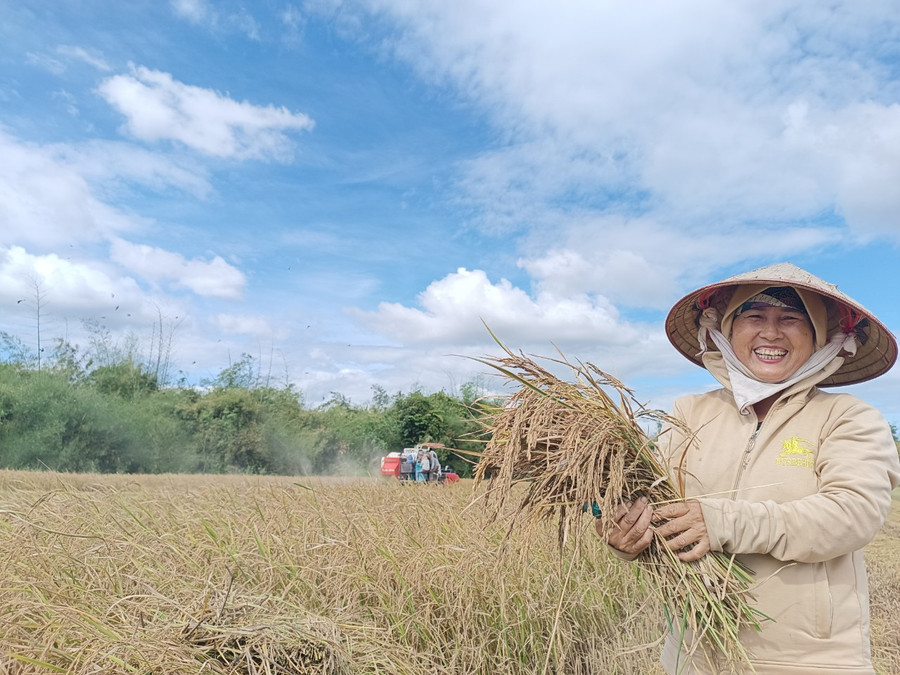 Nâng cao nhận thức cho người dân về nông nghiệp xanh và bền vững là điều cần thiết.