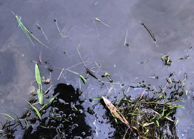 Váng dầu nổi trên mặt nước dẫn vào nhà máy nước