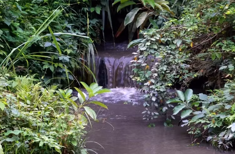 Dầu theo suối đổ vào hệ thống cấp nước sông Đà