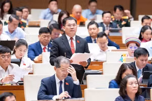 Đại biểu Dương Khắc Mai, đoàn đại biểu Quốc hội tỉnh Lâm Đồng phát biểu.