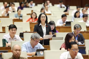 Đại biểu Quốc hội Nguyễn Thị Lan.