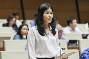 Đại biểu Bùi Thị Quỳnh Thơ – đoàn ĐBQH tỉnh Hà Tĩnh.