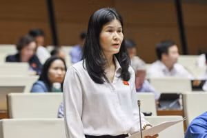 Đại biểu Bùi Thị Quỳnh Thơ – đoàn ĐBQH tỉnh Hà Tĩnh.