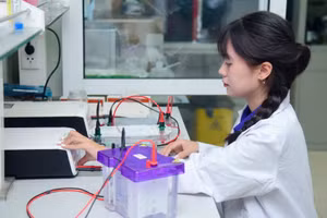 Sinh viên Trường Đại học Khoa học và Công nghệ Hà Nội.