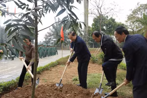 Ông Võ Hồng Nam và lãnh đạo Trường ĐH Kinh doanh và Công nghệ Hà Nội trực tiếp trồng cây Kim Giao tại cơ sở 2 của trường tại Từ Sơn (Bắc Ninh).