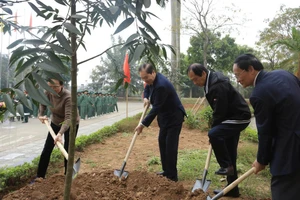 Ông Võ Hồng Nam và lãnh đạo Trường ĐH Kinh doanh và Công nghệ Hà Nội trực tiếp trồng cây Kim Giao tại cơ sở 2 của trường tại Từ Sơn (Bắc Ninh).