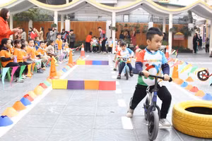 Đổi mới giáo dục mầm non từ thực tiễn