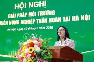 GS.TS Nguyễn Thị Lan - Giám đốc Học viện Nông nghiệp Việt Nam phát biểu tại Hội nghị.