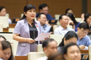 Đại biểu Nguyễn Thị Thu Hà, Đoàn ĐBQH tỉnh Quảng Ninh.