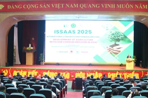 Toàn cảnh hội thảo.