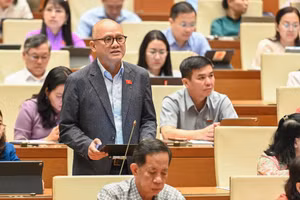 Đại biểu Quốc hội Bế Trung Anh phát biểu thảo luận tại hội trường - sáng 6/5.