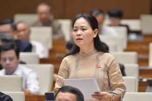 Đại biểu Quốc hội Nguyễn Thị Thu Dung. Ảnh: Quochoi.vn.