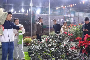 Đông đảo người dân và sinh viên Học viện Nông nghiệp Việt Nam tham gia Hội chợ Xuân năm 2026.