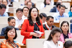 Đại biểu Nguyễn Thị Thủy - Đoàn ĐBQH tỉnh Thái Nguyên phát biểu thảo luận tại hội trường - chiều 20/4.