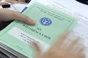 Ảnh minh họa/internet.