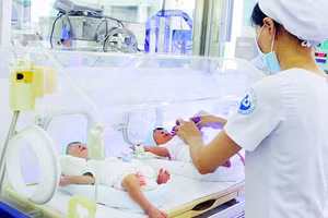 Ảnh minh họa/internet.