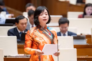 Đại biểu Nguyễn Thanh Cầm – Đoàn ĐBQH tỉnh Đồng Tháp cho ý kiến.