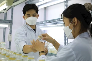 Sinh viên Trường ĐH Công Thương TP Hồ Chí Minh trong giờ học thực hành. Ảnh: Công Chương.