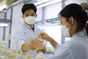 Sinh viên Trường ĐH Công Thương TP Hồ Chí Minh trong giờ học thực hành. Ảnh: Công Chương.