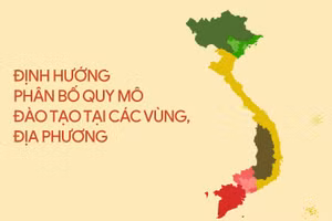 Định hướng phân bố quy mô đào tạo tại các vùng và địa phương