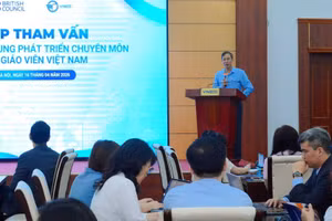 Toàn cảnh buổi họp tham vấn “Xây dựng Khung phát triển chuyên môn cho giáo viên Việt Nam”.