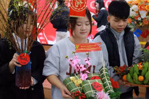 Sinh viên dành nhiều tâm huyết thi gói bánh chưng.