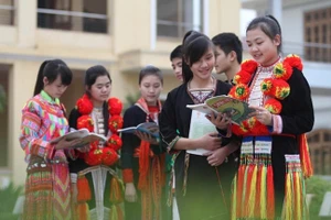 Ảnh minh họa/internet.