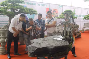 Du khách thích thú tham dự Festival hoa, cây cảnh VNUA 2025.