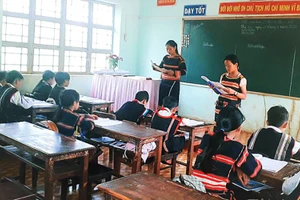 Ảnh minh họa/internet.