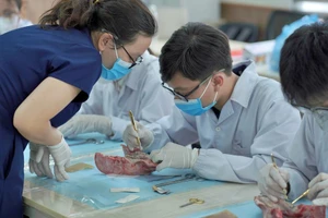 Sinh viên khoa Răng Hàm Mặt, trường Đại học Y Dược trong một workshop về phẫu thuật trong miệng hồi tháng 5. Ảnh: Fanpage LCĐ khoa Răng Hàm Mặt.