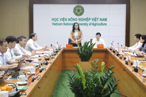 GS.TS Nguyễn Thị Lan - Giám đốc Học viện Nông nghiệp Việt Nam phát biểu tại buổi làm việc.