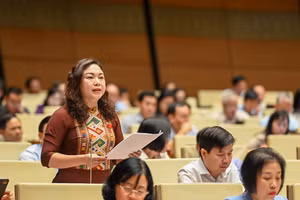 Bà Đặng Bích Ngọc – đoàn đại biểu Quốc hội tỉnh Hoà Bình.