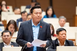 Đại biểu Phạm Hùng Thắng, Đoàn ĐBQH tỉnh Ninh Bình thảo luận tại phiên họp.