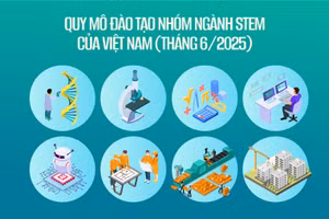Quy mô đào tạo nhóm ngành STEM của Việt Nam