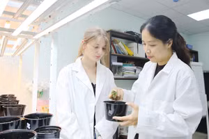 Giảng viên Trường Đại học Công nghệ (ĐH Quốc gia Hà Nội) hướng dẫn sinh viên quốc tế.