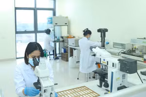 Nghiên cứu khoa học tại Học viện Nông nghiệp Việt Nam.