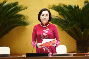 Phó Chủ tịch Quốc hội Nguyễn Thị Thanh phát biểu. Ảnh: Quang Khánh.