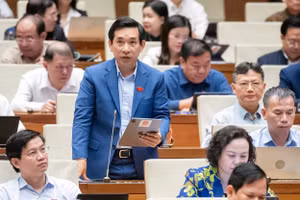 Đại biểu Nguyễn Văn Cảnh thảo luận tại hội trường - sáng 20/11.